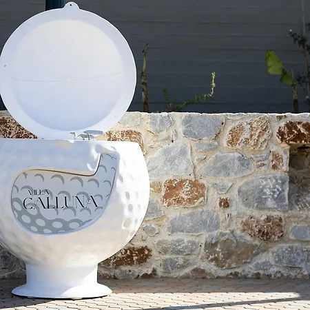 Βίλα Calluna Χανιά